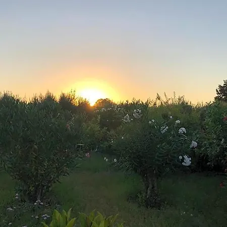 Hotel Mantenia Rethymno (Crete)